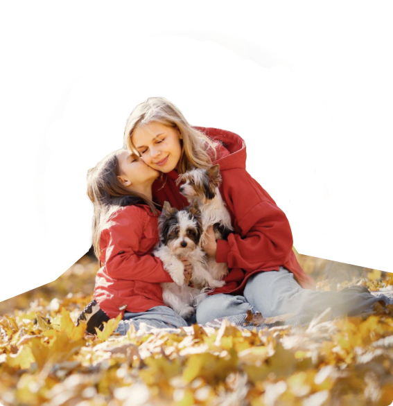 ɭ��������-׷�󿵽�,����һ������