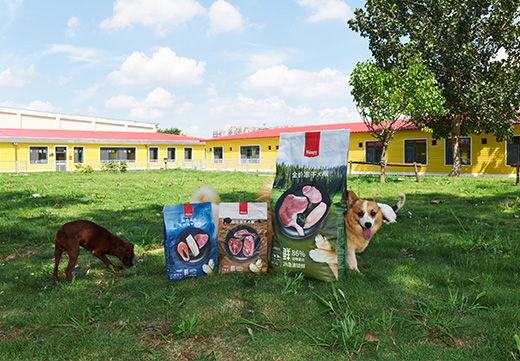 ɭ��������-׷�󿵽�,����һ������