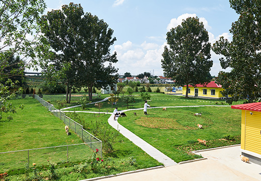 ɭ��������-׷�󿵽�,����һ������