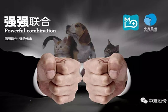 ɭ��������-׷�󿵽�,����һ������