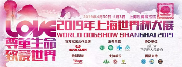 ɭ��������-׷�󿵽�,����һ������