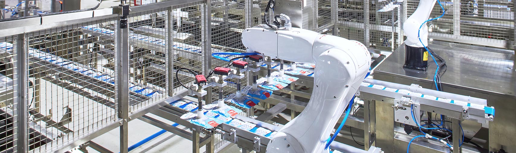 ɭ��������-׷�󿵽�,����һ������