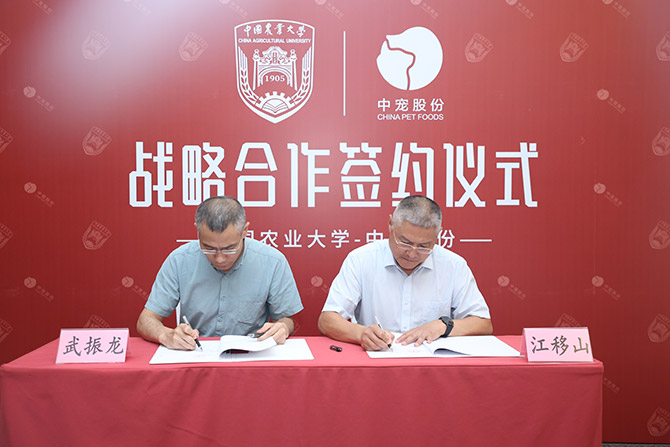 ɭ��������-׷�󿵽�,����һ������