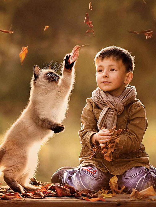 ɭ��������-׷�󿵽�,����һ������