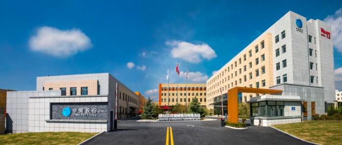 ɭ��������-׷�󿵽�,����һ������