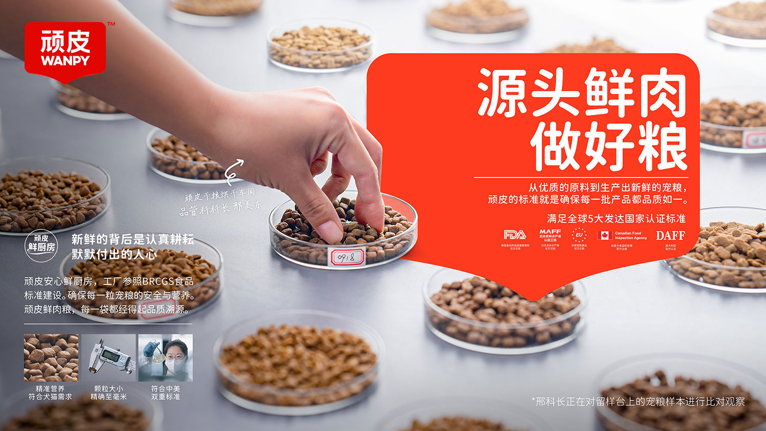 ɭ��������-׷�󿵽�,����һ������