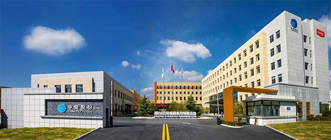 ɭ��������-׷�󿵽�,����һ������