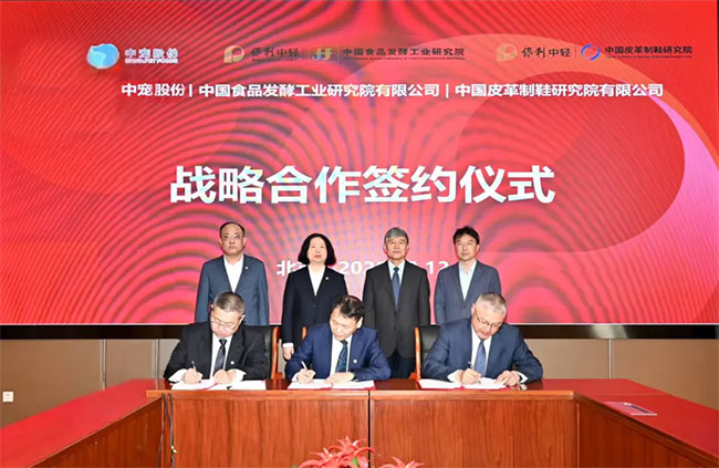 ɭ��������-׷�󿵽�,����һ������