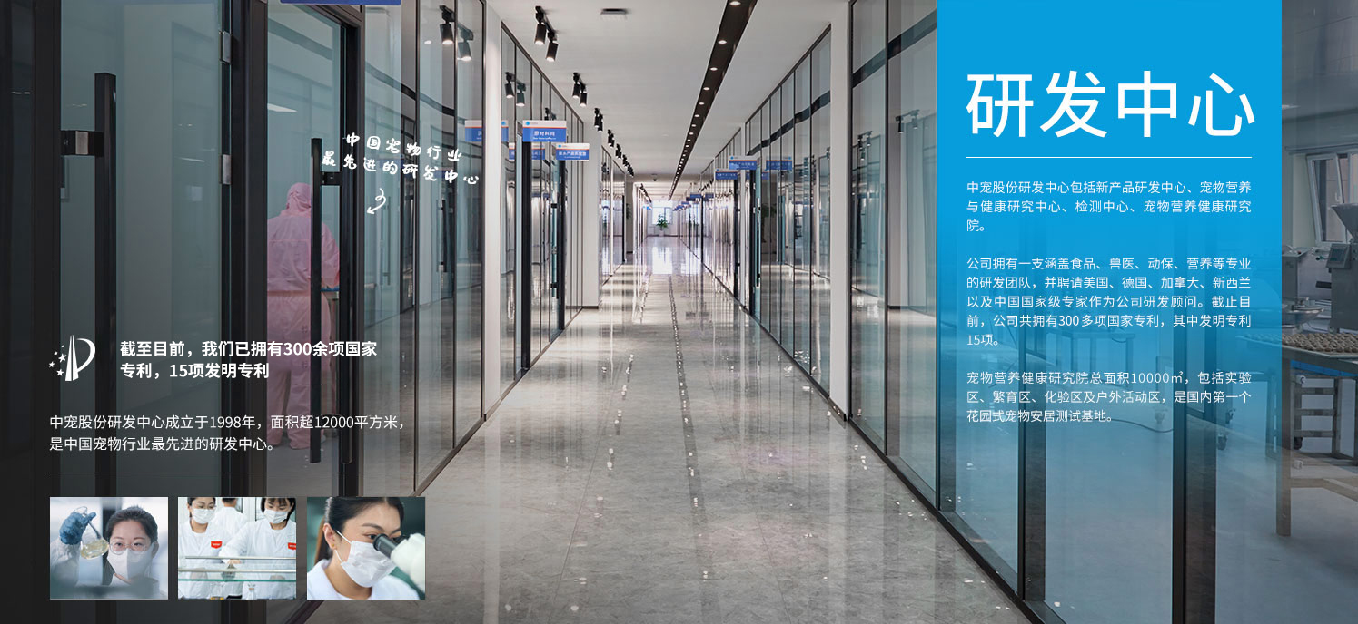 ɭ��������-׷�󿵽�,����һ������